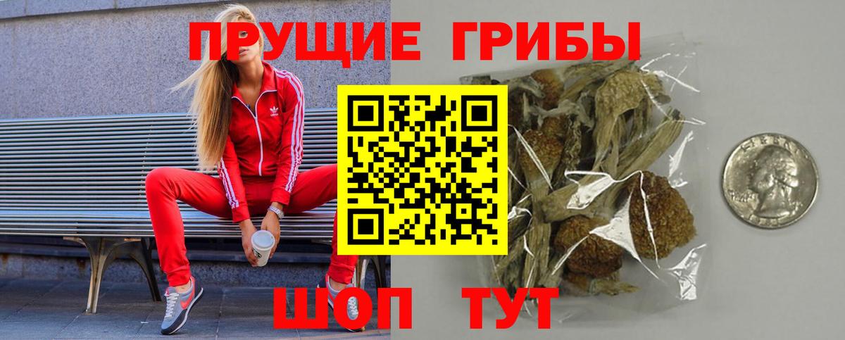 Переславль-Залесский  Галлюциногенные грибы мухоморы  Вход с VPN 